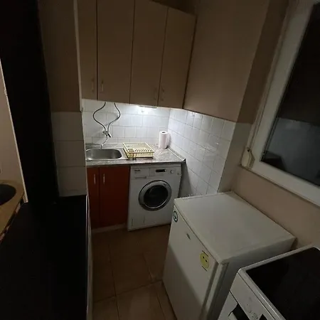 Iva Ii * Zaječar